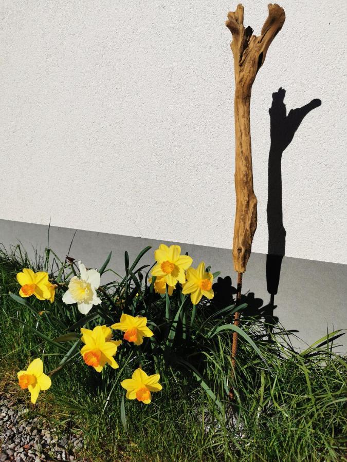 Ferienwohnung An Der Alten Saege Bezau Exterior foto